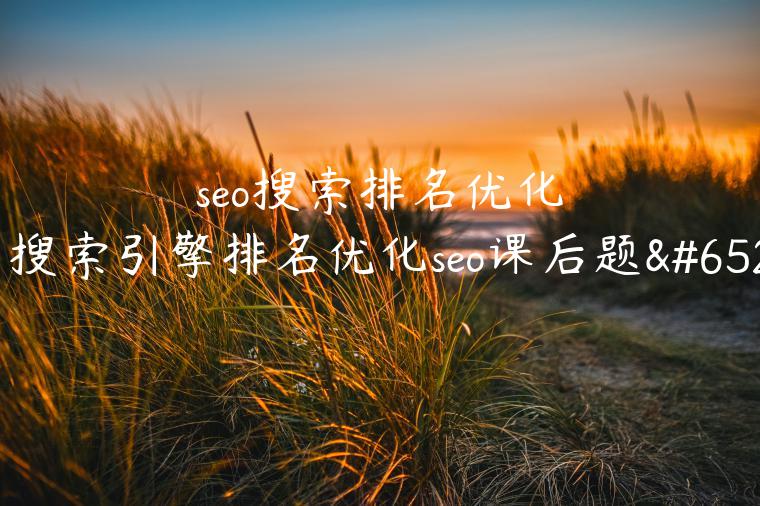 seo搜索排名优化（搜索引擎排名优化seo课后题）