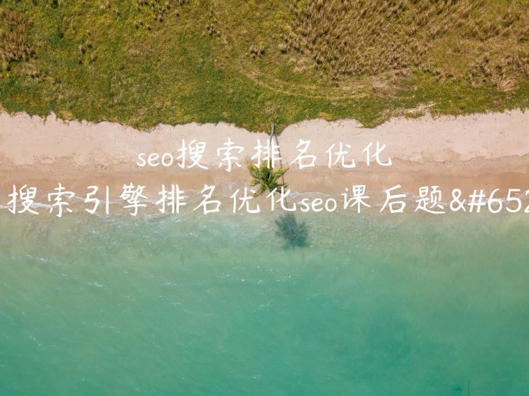 seo搜索排名优化（搜索引擎排名优化seo课后题）