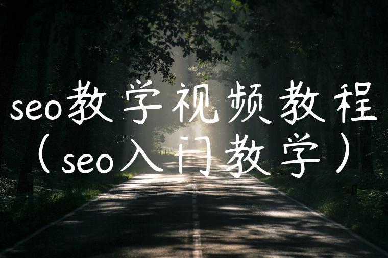 seo教学视频教程（seo入门教学）