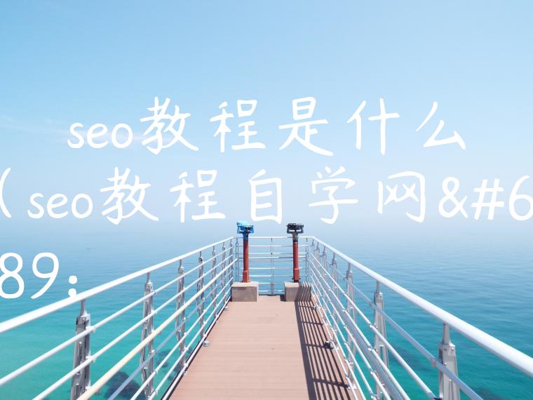 seo教程是什么（seo教程自学网）