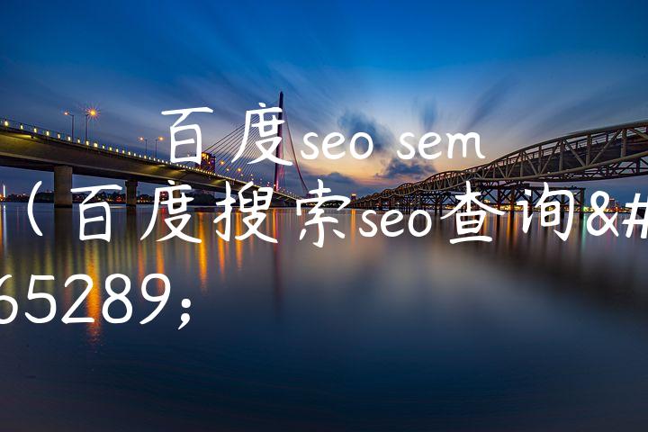 百度seo sem（百度搜索seo查询）