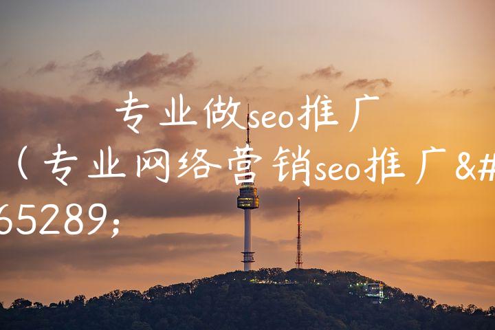 专业做seo推广（专业网络营销seo推广）