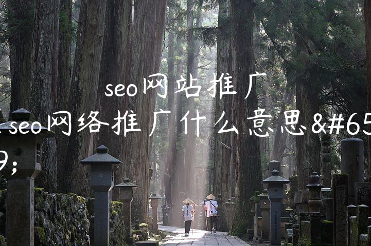 seo网站推广（seo网络推广什么意思）