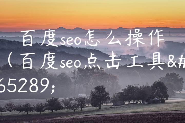 百度seo怎么操作（百度seo点击工具）